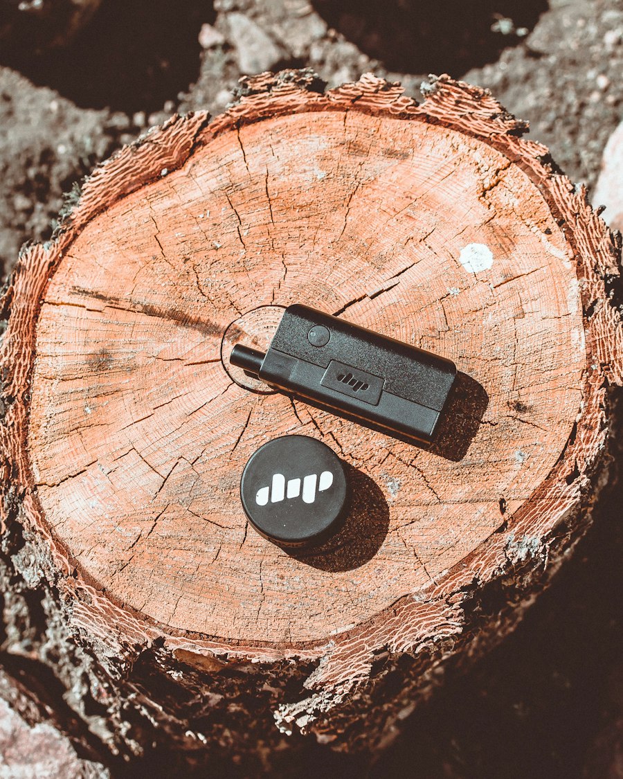 vape travel case