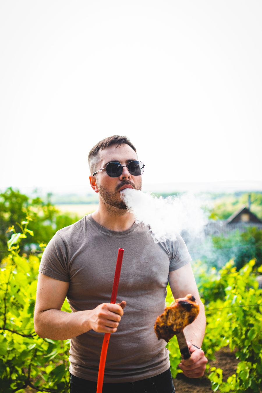 nicotine salt juice